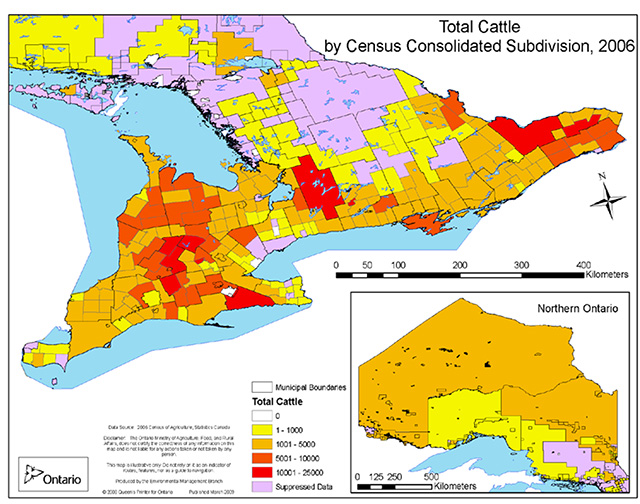 A map of the municipal boundaries of Ontario depicting the abundance of dairy and beef cattle based on 2006 data from Statistics Canada.