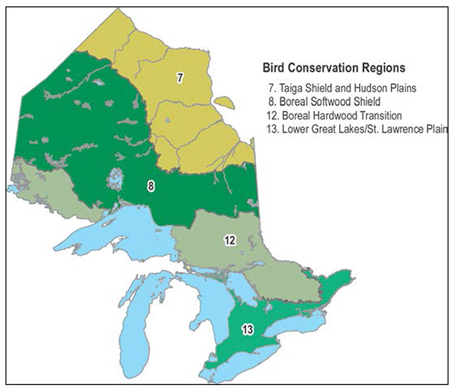 A map of Ontario depicting Bird Conservation Regions.