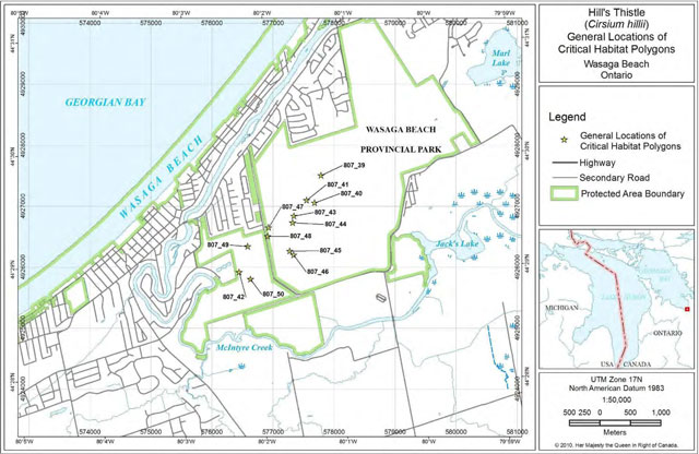 This is Figure 6. General Locations of Critical Habitat Polygons at Wasaga Beach