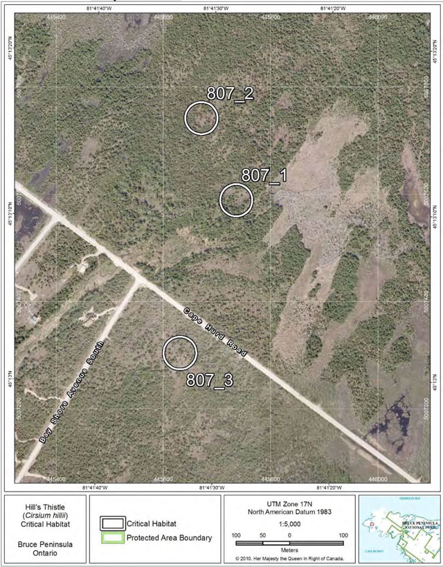 This is Figure 7: Fine-scale map of Hill 's Thistle critical habitat parcels 1-3 on the northern Bruce Peninsula.