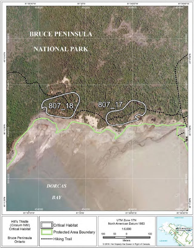 This is Figure 12: Fine-scale map of Hill’s Thistle critical habitat parcels 17-18 on the northern Bruce Peninsula.