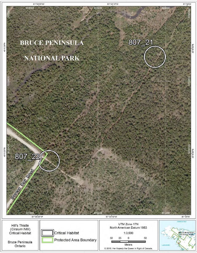 This is Figure 15: Fine-scale map of Hill’s Thistle critical habitat parcels 21-22 on the northern Bruce Peninsula.