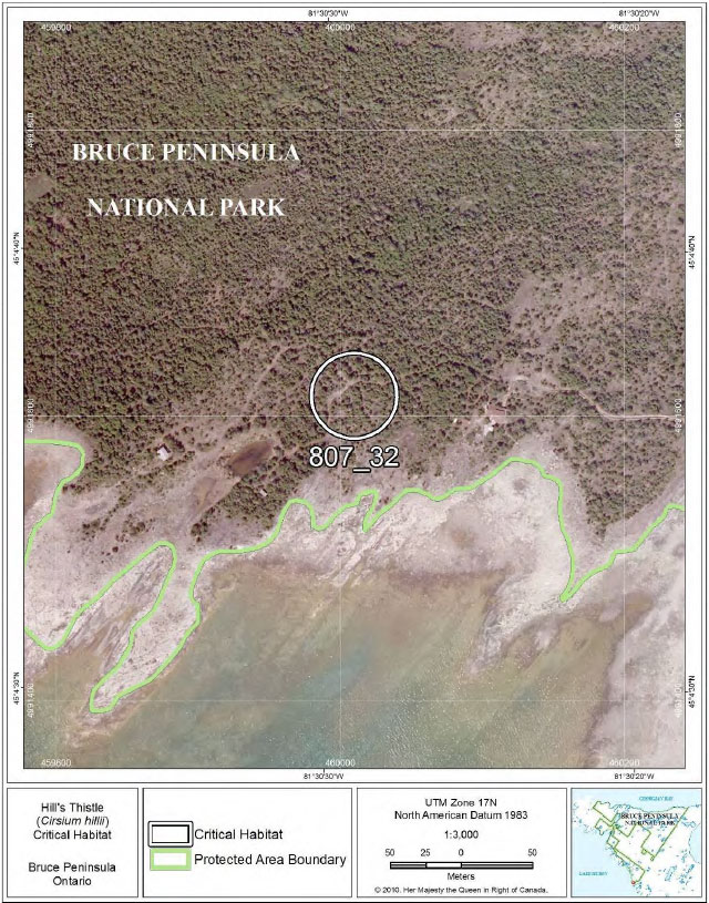 This is Figure 24: Fine-scale map of Hill’s Thistle critical habitat parcel 32 on the northern Bruce Peninsula.