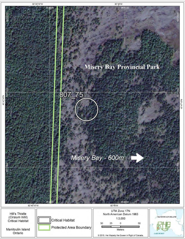 This is Figure 47: Fine-scale map of Hill’s Thistle critical habitat parcel 75 on Manitoulin Island.