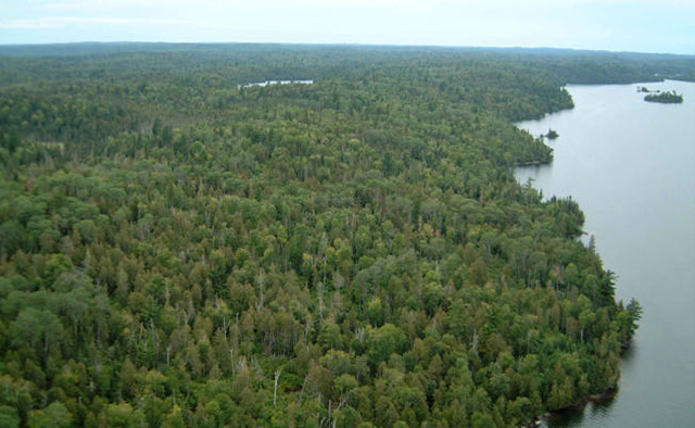 Photo view of the conservation reserve looking west along Stormy Lake, which includes forest and water body.