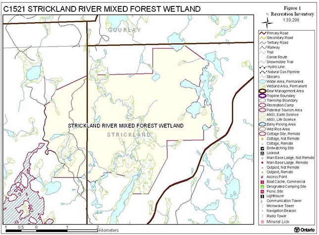 Image of a map that shows C1521 Strickland River mixed forest wetland.