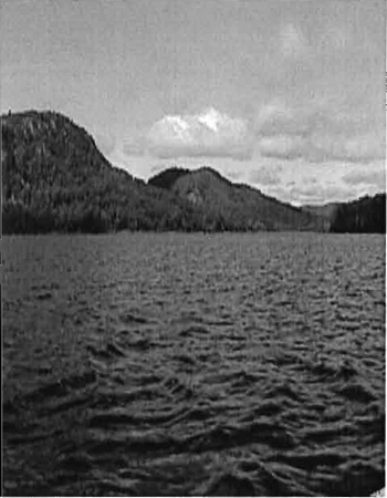 This photo shows the view looking south from Stuart Lake and high relief cliffs.