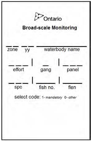 scale envelope with fields for zone, year, waterbody name and fish details.