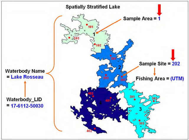 FISHNETV3 spatial descriptors for a spatially stratified lake with areas labeled.