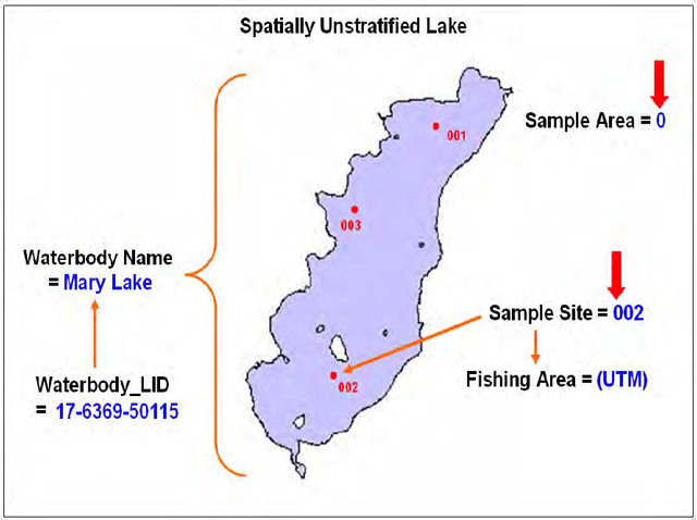 FISHNETV3 spatial descriptors for a non-spatially stratified lake with areas labeled.