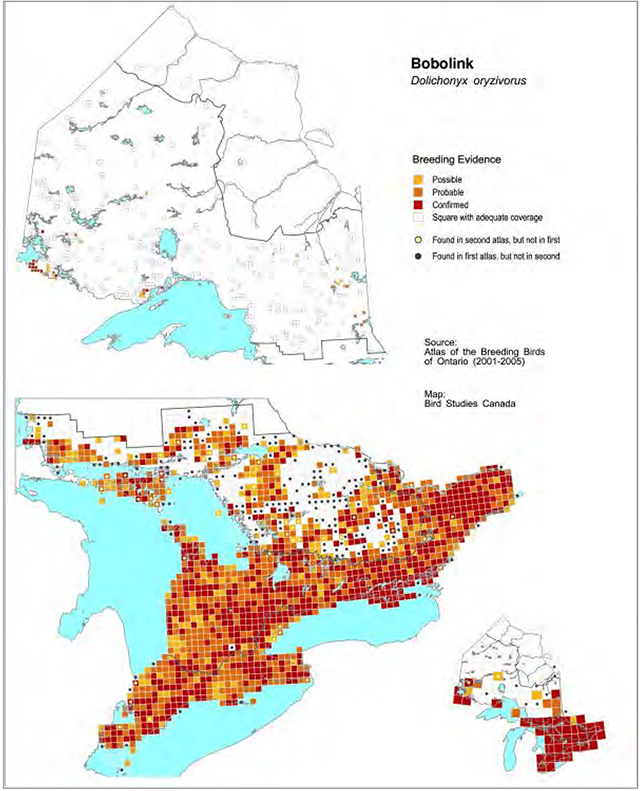 Colour map of Ontario in two sections. Legend depicts possible incidence of breeding evidence in yellow, orange is probable, red is confirmed and white squares are adequate coverage. A smaller map of all of Ontario in the bottom right corner depicts the same.