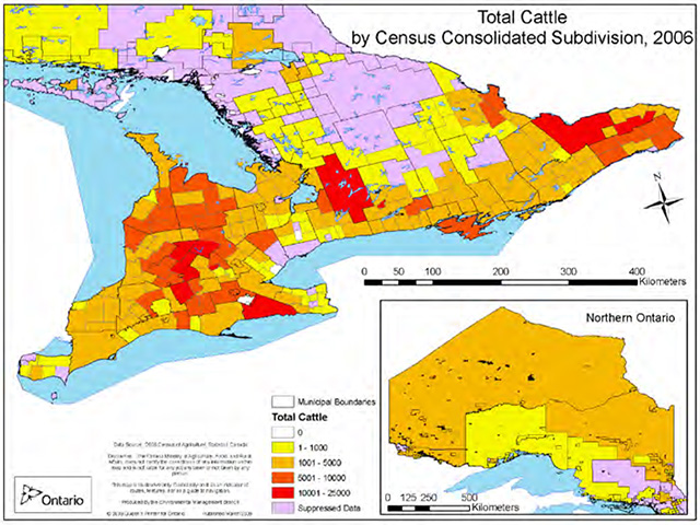 Colour map of southern and northern Ontario depicts total number of cattle from 0 in white to 1-1,000 yellow, orange and red at 1,0001-2,5000. Pink indicates supressed data.