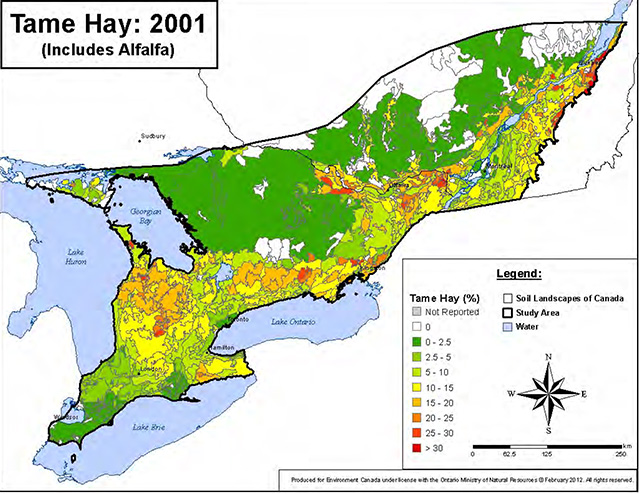 Colour map of southern Ontario depicts range of land cover in hay from 0% in white, to 0-25 in green, through yellow, orange and red at >30%.