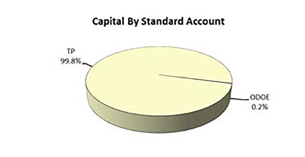Capital By Standard Account pie chart shows transfer Payment at 99.8% and Other Direct Operating Expenditures at 0.2%.