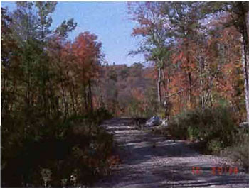 image of a road within the conservation reserve in excellent condition.