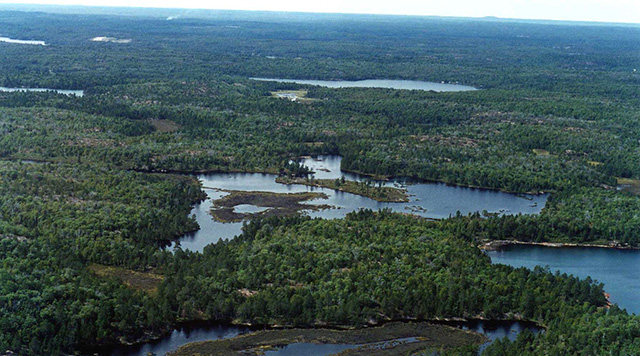 This is an aerial view of Tilton Forest Conservation Reserve showing an extensive creek and wetland system in the northeast section of the site.