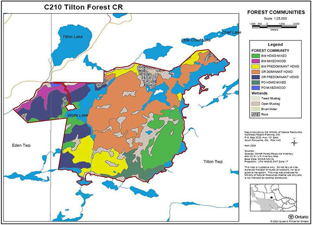 This map shows forest communities in Tilton Forest Conservation Reserve