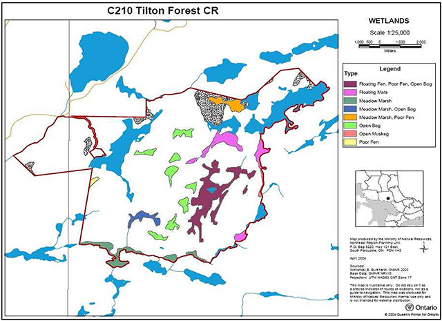 This map shows wetlands in Tilton Forest Conservation Reserve