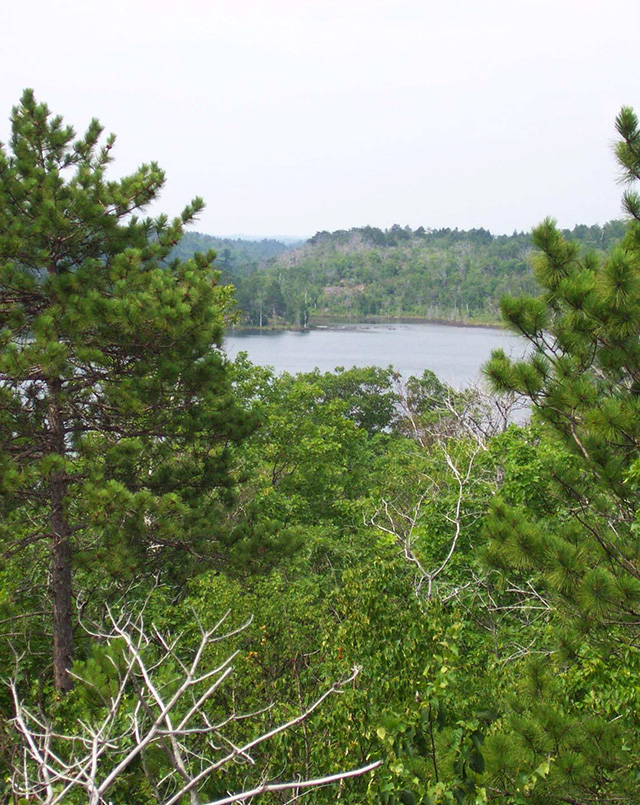 View of large unnamed lake in northeast portion of conservation reserve.