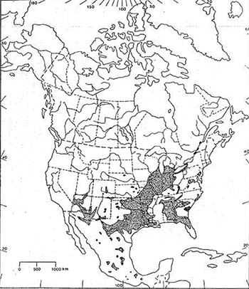 Figure 1: North American distribution of all Common Hoptree subspecies.
