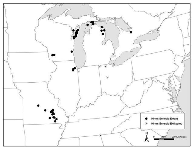 Map of the extant and extirpated locations of Hine’s Emerald in North America. Majority of the locations are found in the United States. There is one location in southern Ontario.