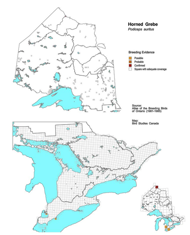 This is a map illustrating the first breeding evidence of the Horned Grebe in Ontario.