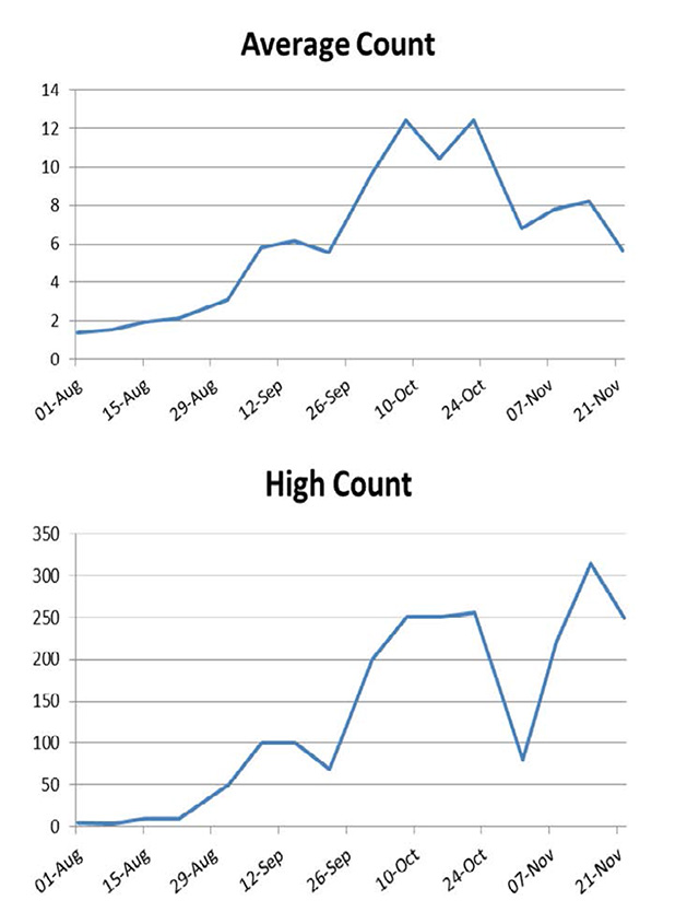This is a an image of two charts indicating the average and high migration count of the Horned Grebes in Ontario. The lowest average and highcount was under two on August 1<sup>st</sup>.  The highest average was recorded between September 26 and October 24. The highest count recorded was November 21st.