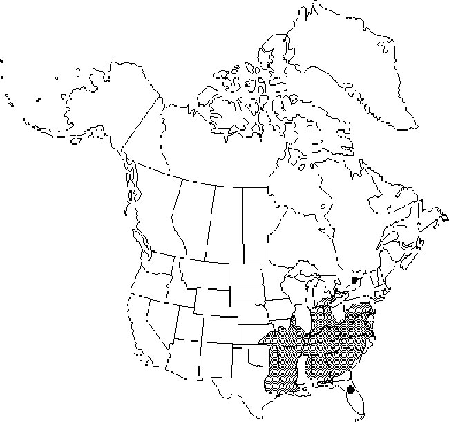black and white North American distribution map of Dwarf Hackberry.