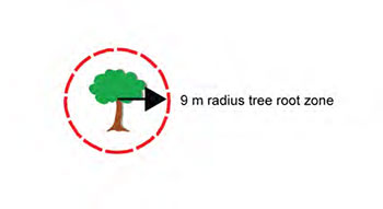 conceptual illustration of critical habitat 9 metres radius tree root zone around a single Dwarf Hackberry tree.