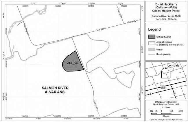location and extent of critical habitat parcel #247_20 for Dwarf Hackberry map. Dark grey areas represent critical habitat, white areas represent area of natural & scientific interest (ANSI), light grey areas represent water, and dark grey lines represent paved roads.