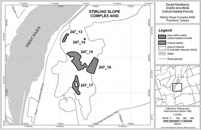 location and extent of critical habitat parcel #247_13, #247_14, #247_15, and #247_17 and area within which critical habitat for Dwarf Hackberry is found. Dark grey areas represent area within which critical habitat is found, white areas represent area of natural & scientific interest, light grey areas represent water, and grey lines represent paved roads.