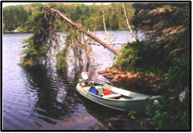 This photo shows Sport fishing is a commonly-practiced activity within the Twilight Lake Conservation Reserve.