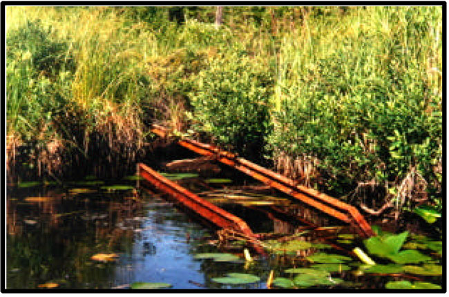 Photo shows Remnants of the railway cart system east of Twilight Lake.