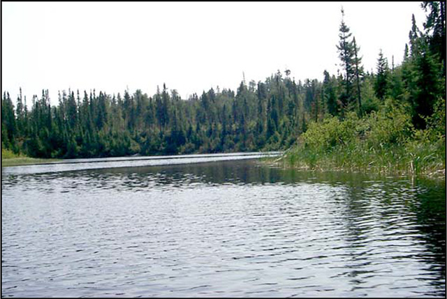 Figure 4: The English River east of Sowden Lake.