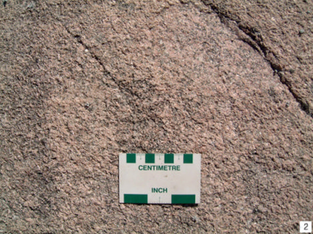 Massive, medium grained granodiorite to quartz monzonite of the Indian Lake batholith. Near Sowden Lake. (Stn. 2; UTM 0628596E 5491395N)