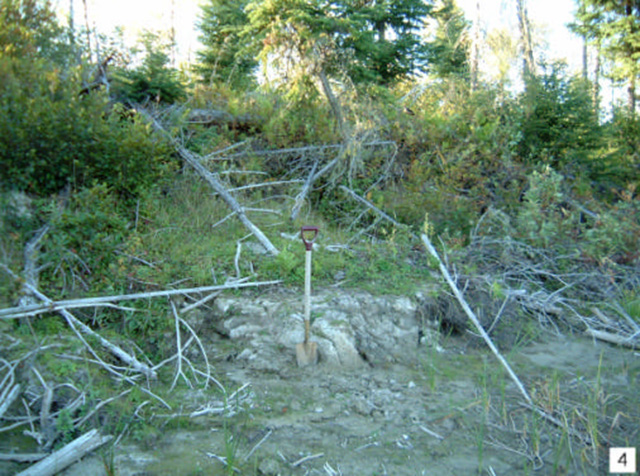 Four metre high clay bank exposed on the north side of the English River between Pinaemodal Lake and the Highway 599 bridge. (Stn. 9; UTM 0618672E 5494899N)