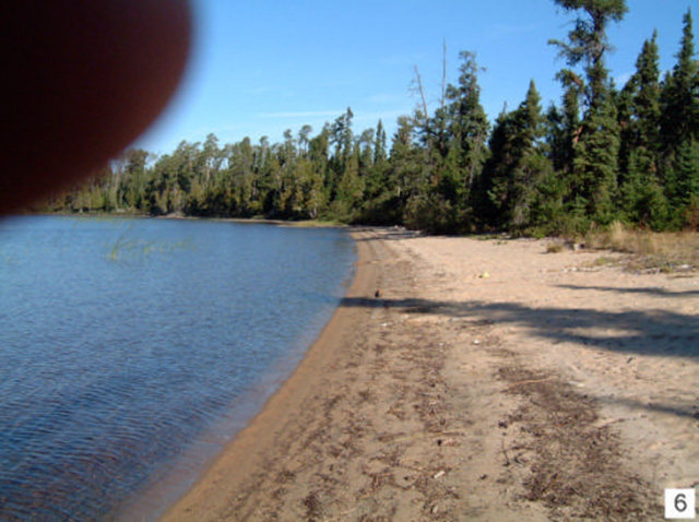 Sand beach at boat launch into Sowden Lake, 14 km down forest access road from Highway 599. (Stn. 1; UTM 0627716E 5491433N)