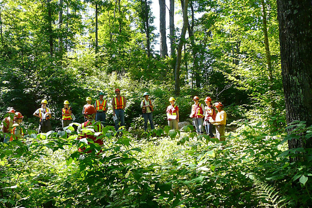 Forest management workforce competency