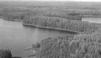 This is figure 3 photo of forests and surrounding lakes of Wagong Lake Forest Conservation Reserve