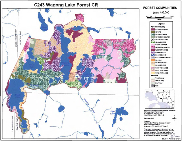 This is map 4: Forest communities in Wagong Lake Forest Conservation Reserve.