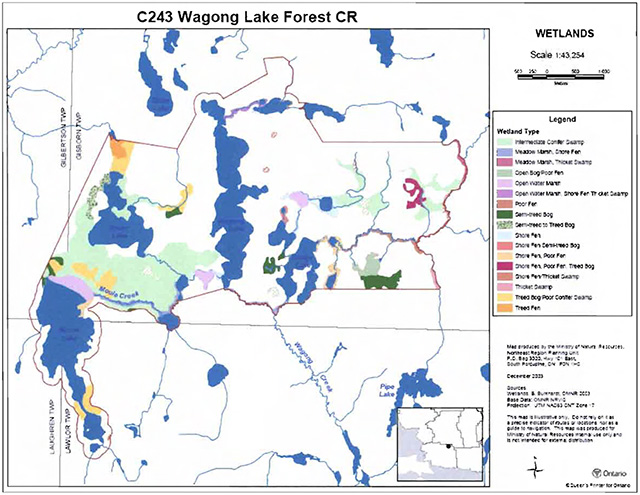 This is map 6: Wetlands In Wagong Lake Forest Conservation Reserve.