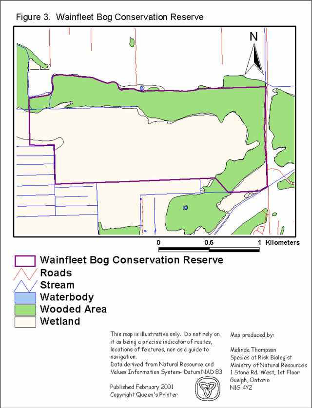 Colour map indicates reserce boundaries with purple line. Countour is indicated with thin brown line. Streams are indicated with thin blue lines. QWaterbodies are shaded light blue, lots are white outlined in black, wooded areas are shaded greeb, Roads are indicated with thin red lines and wetlands are extremely light green.