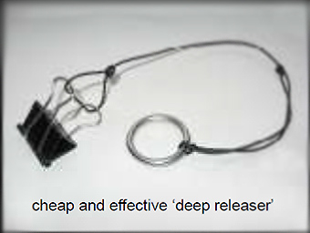 This is an image of deep releaser.