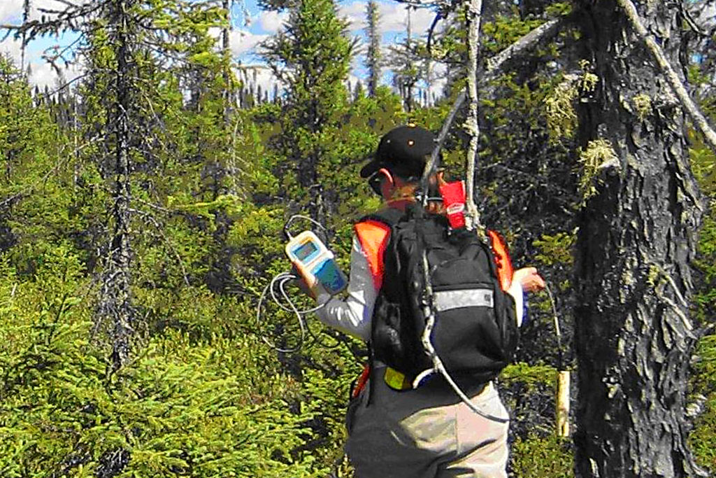 Monitoring programs for forest management