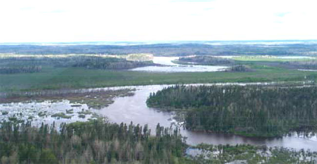 This photo shows View of Colenso Creek / Wabigoon River confluence (looking north). 
