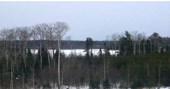 This photo shows View of Cowamula Lake February (view looking north east).