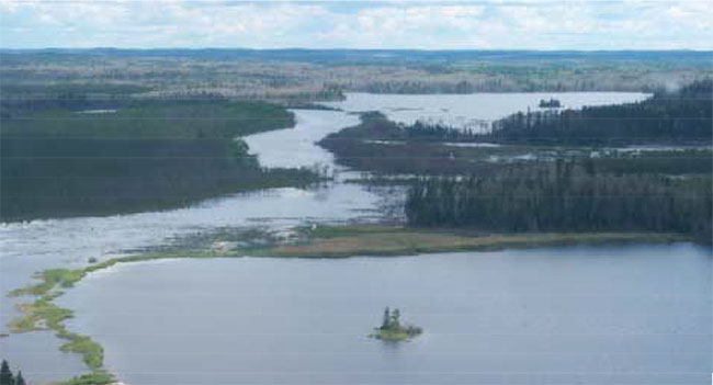 This photo shows View of Cowamula Lake looking along Colenso Creek.