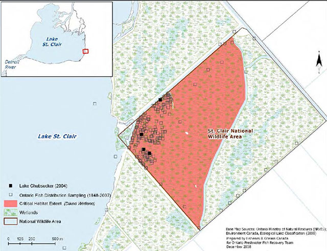 Colour map of Lake St. Clair with an enlarged detail of the Critical habitat identified for the Lake Chubsucker in the St. Clair unit of the St. Clair National Wildlife Area. Includes a legend where black squares represent Lake Chubsucker (2004), clear squares outlined in black represent Ontario Fish Distribution Sampling (1846 to 2007), pink areas represent the extent of critical habitat (Diked Wetland), white/green areas represent wetlands, and area outlined in brown represents National Wildlife Area.