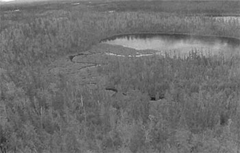 Black and white photo of lake and stream with associated wetland vegetation in C1602.