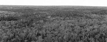 Black and white photo of a bedrock knob, west of the north end of Robb Lake.